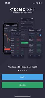 Primexbt vs Pocket Option 5 Primexbt vs Pocket Option 5